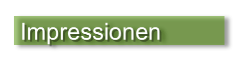  Impressionen